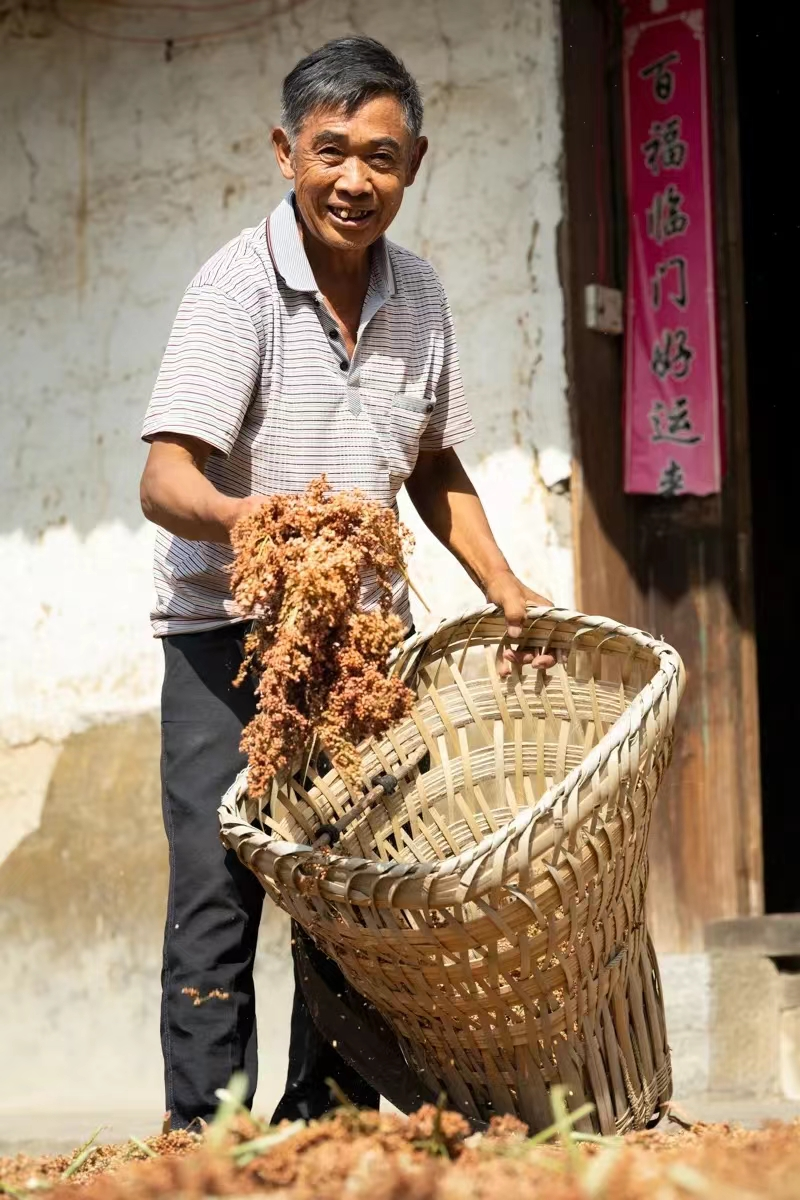 茅台演绎《一颗高粱的共同富裕》，我们需这样的美品牌