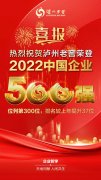 泸州老窖位列2022中国企业500强第300位