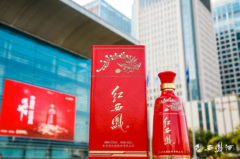 春·希望与机遇—以酒为媒 西凤与世界共话未来